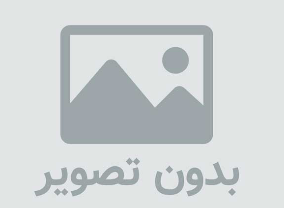 قائم مقام سازمان بسیج دانش‌آموزی کشور در یادواره شهدای کودک لامرد